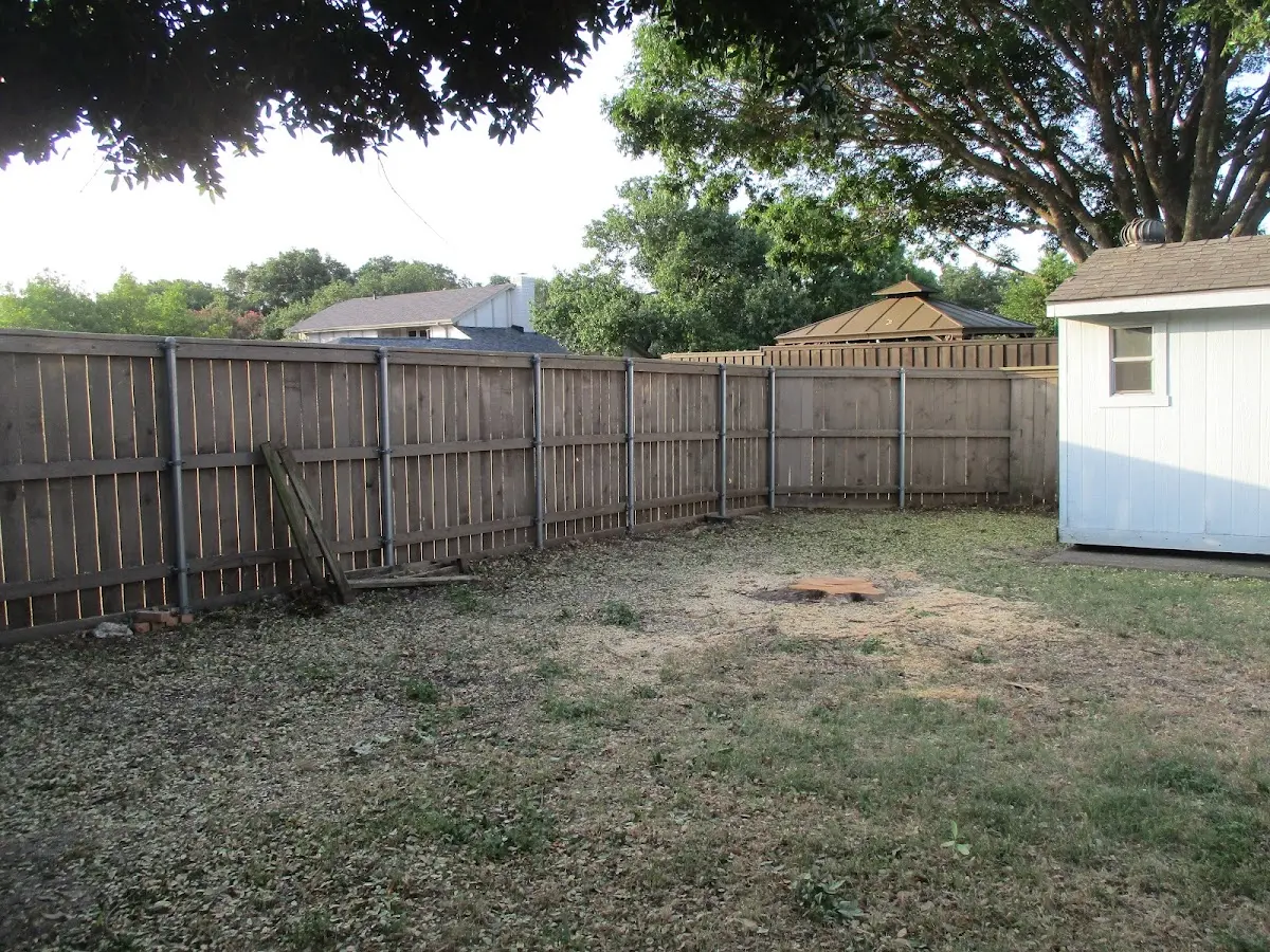 Cleared yard after professional tree removal in Pine City